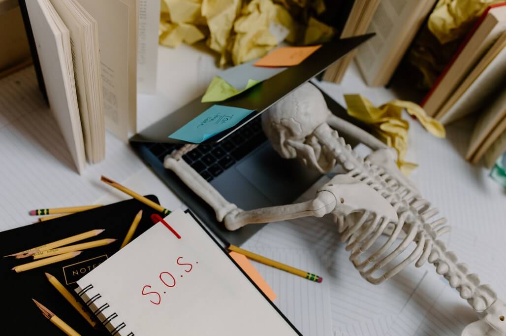 skeleton laying on a computer